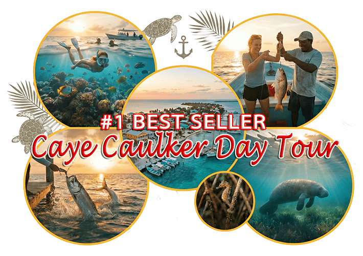 Caye Caulker Day Tour